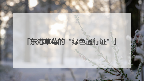 东港草莓的“绿色通行证”