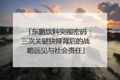 东鹏饮料突围密码：三次关键抉择背后的战略远见与社会责任