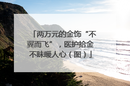 两万元的金饰“不翼而飞”，医护拾金不昧暖人心（图）