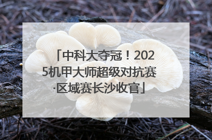 中科大夺冠！2025机甲大师超级对抗赛·区域赛长沙收官
