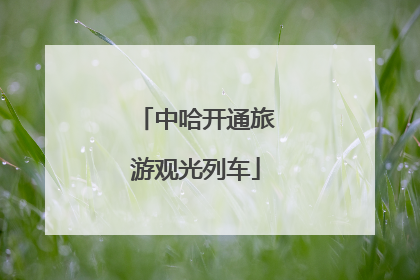 中哈开通旅游观光列车