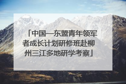 中国—东盟青年领军者成长计划研修班赴柳州三江多地研学考察