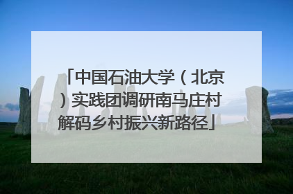 中国石油大学（北京）实践团调研南马庄村解码乡村振兴新路径