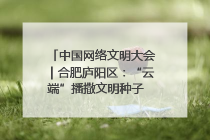 中国网络文明大会｜合肥庐阳区：“云端”播撒文明种子 共建清朗网络空间