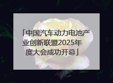 中国汽车动力电池产业创新联盟2025年度大会成功开幕