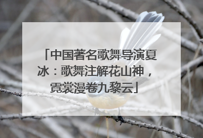 中国著名歌舞导演夏冰：歌舞注解花山神，霓裳漫卷九黎云