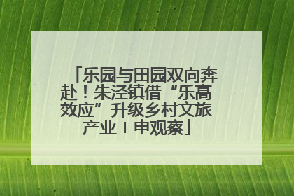 乐园与田园双向奔赴！朱泾镇借“乐高效应”升级乡村文旅产业〡申观察