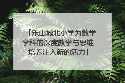 乐山城北小学为数学学科的深度教学与思维培养注入新的活力
