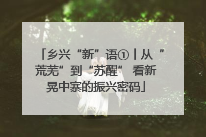 乡兴“新”语①丨从“荒芜”到“苏醒” 看新晃中寨的振兴密码