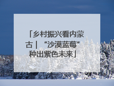 乡村振兴看内蒙古｜“沙漠蓝莓”种出紫色未来