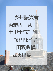 乡村振兴看内蒙古｜从“土里土气”到“虾里虾气” 一田双收模式火出圈