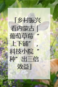 乡村振兴看内蒙古｜葡萄草莓“上下铺”，科技小院“种”出三倍效益