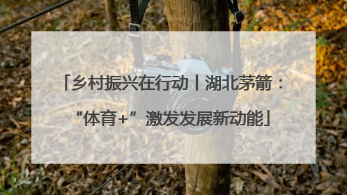 乡村振兴在行动丨湖北茅箭：“体育+”激发发展新动能