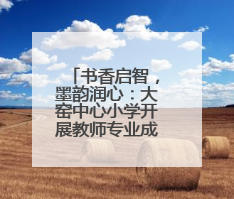 书香启智，墨韵润心：大窑中心小学开展教师专业成长活动