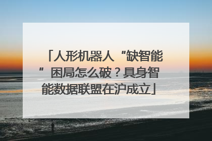 人形机器人“缺智能”困局怎么破？具身智能数据联盟在沪成立