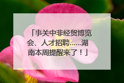 事关中非经贸博览会、人才招聘……湖南本周提醒来了！