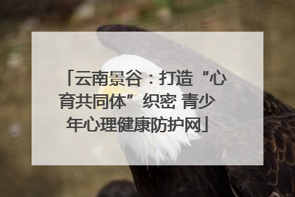 云南景谷：打造“心育共同体”织密 青少年心理健康防护网