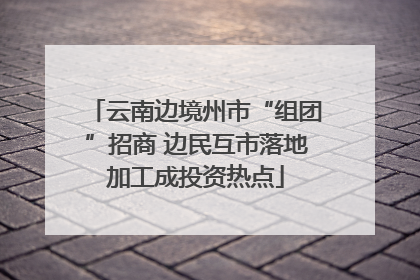 云南边境州市“组团”招商 边民互市落地加工成投资热点