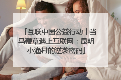 互联中国公益行动丨当马鞭草遇上互联网：昆明小渔村的逆袭密码