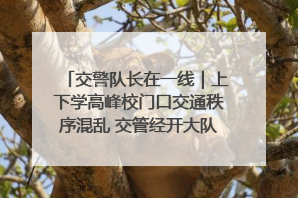 交警队长在一线｜上下学高峰校门口交通秩序混乱 交管经开大队多举措进行整治