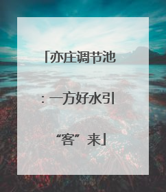 亦庄调节池：一方好水引“客”来