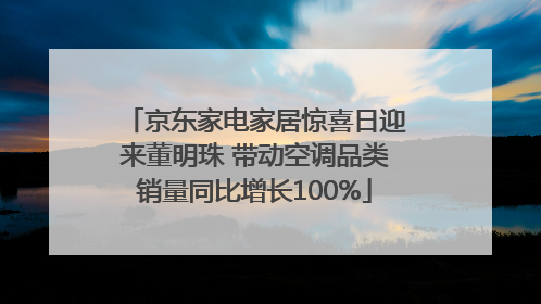 京东家电家居惊喜日迎来董明珠 带动空调品类销量同比增长100%