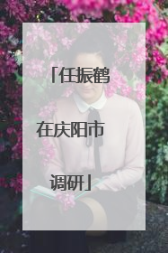 任振鹤在庆阳市调研