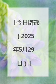 今日辟谣（2025年5月29日）