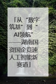 从“数字筑基”到“AI领航”——湖南国资国企竞速人工智能新赛道