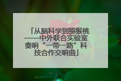 从脑科学到猕猴桃——中外联合实验室奏响“一带一路”科技合作交响曲