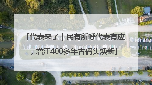 代表来了｜民有所呼代表有应，增江400多年古码头焕新