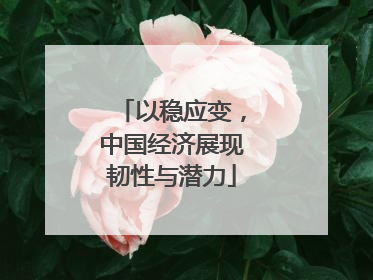 以稳应变，中国经济展现韧性与潜力
