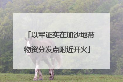 以军证实在加沙地带物资分发点附近开火