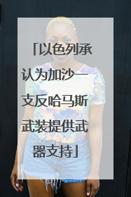 以色列承认为加沙一支反哈马斯武装提供武器支持