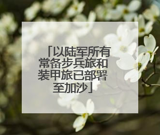 以陆军所有常备步兵旅和装甲旅已部署至加沙