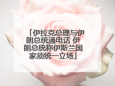 伊拉克总理与伊朗总统通电话 伊朗总统称伊斯兰国家须统一立场