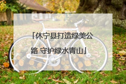 休宁县打造绿美公路 守护绿水青山
