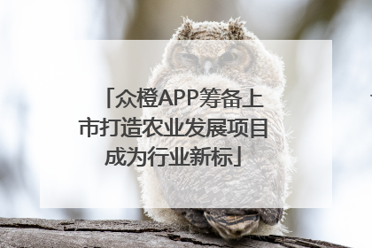 众橙APP筹备上市打造农业发展项目成为行业新标