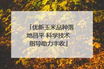 优新玉米品种落地昌平 科学技术指导助力丰收