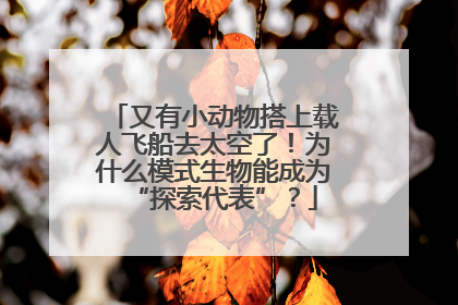 又有小动物搭上载人飞船去太空了！为什么模式生物能成为“探索代表”？