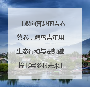 双向奔赴的青春答卷：鸬鸟青年用生态行动与思想碰撞书写乡村未来