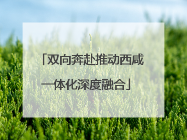 双向奔赴推动西咸一体化深度融合