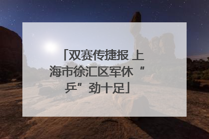 双赛传捷报 上海市徐汇区军休“乒”劲十足
