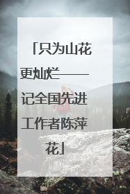 只为山花更灿烂——记全国先进工作者陈萍花