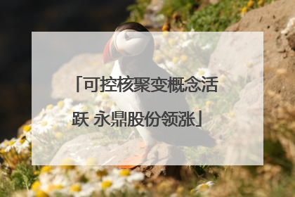 可控核聚变概念活跃 永鼎股份领涨