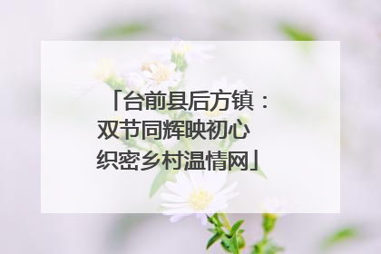 台前县后方镇：双节同辉映初心 织密乡村温情网