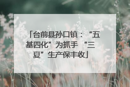 台前县孙口镇：“五基四化”为抓手 “三夏”生产保丰收
