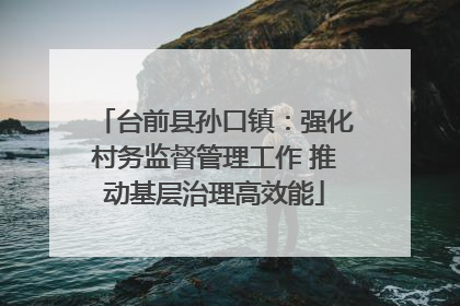 台前县孙口镇：强化村务监督管理工作 推动基层治理高效能