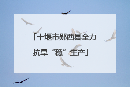 十堰市郧西县全力抗旱“稳”生产