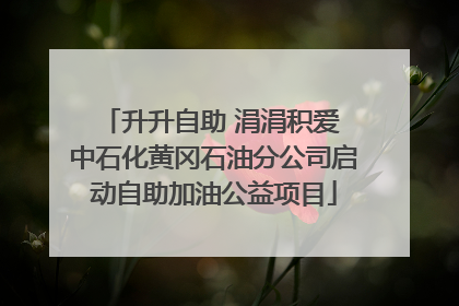 升升自助 涓涓积爱 中石化黄冈石油分公司启动自助加油公益项目